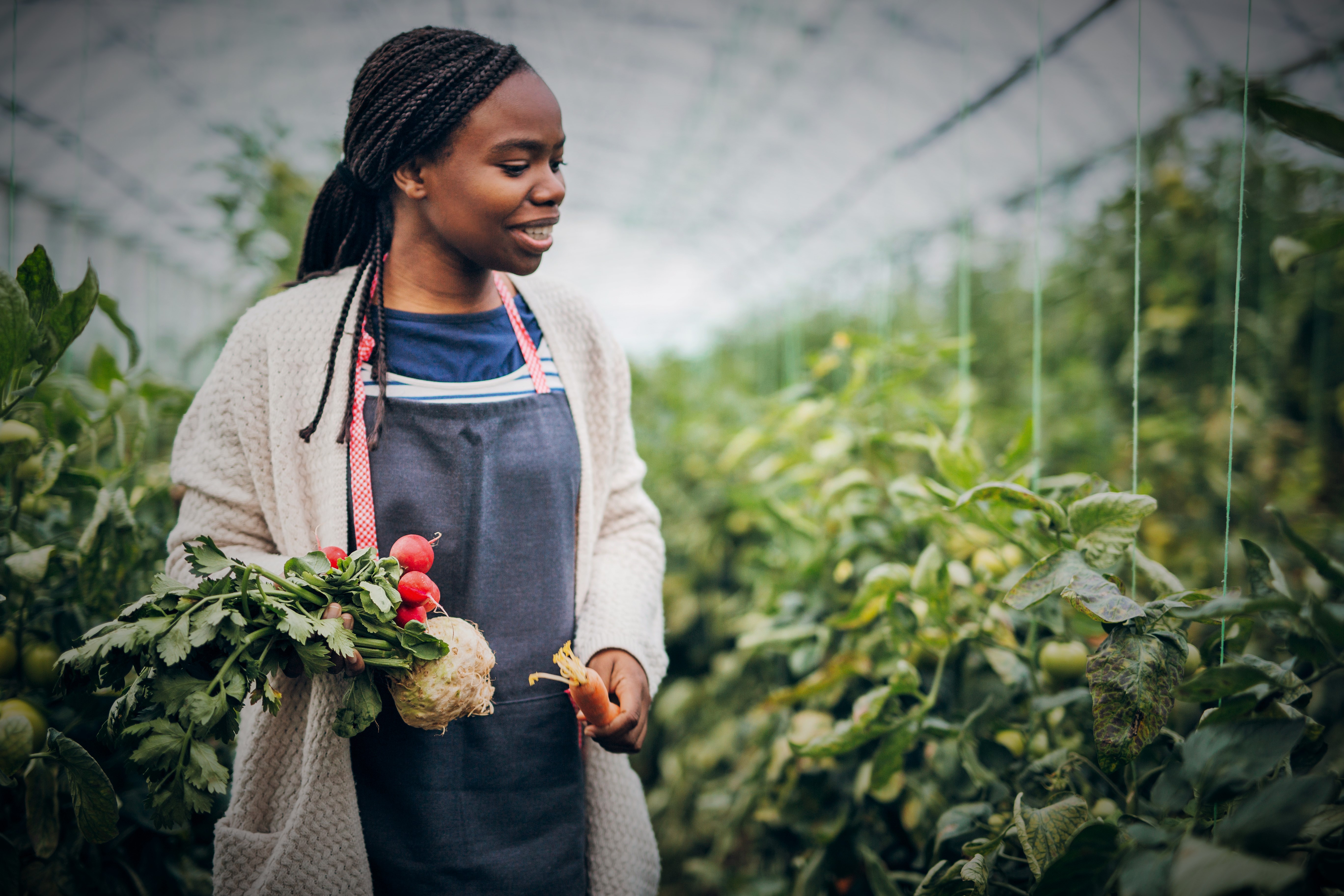 African Youth Agripreneur Forum and Agripitch competition: Driving Sustainable Nutrition and Gender Inclusivity in Africa's Agri-food system