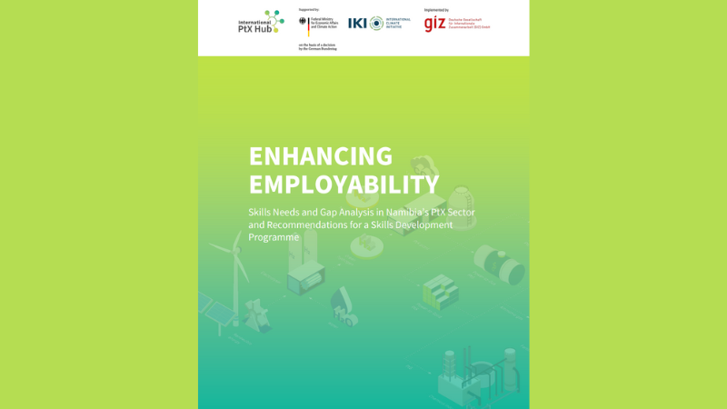 Skills Needs and Gap Analysis in Namibia’s PtX Sector and Recommendations for a Skills Development Programme