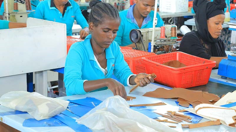 TVET Students in Ethiopia at a leather production facility in Addis Ababa
