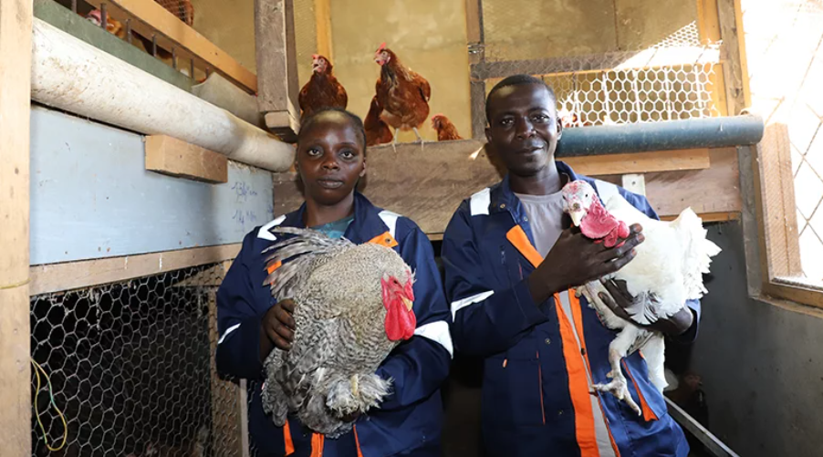 Nzingoula Delaunay and a poultry farmer from CADCE. Credit: Franck Sidney Chrysantheme Bitemo / World Bank