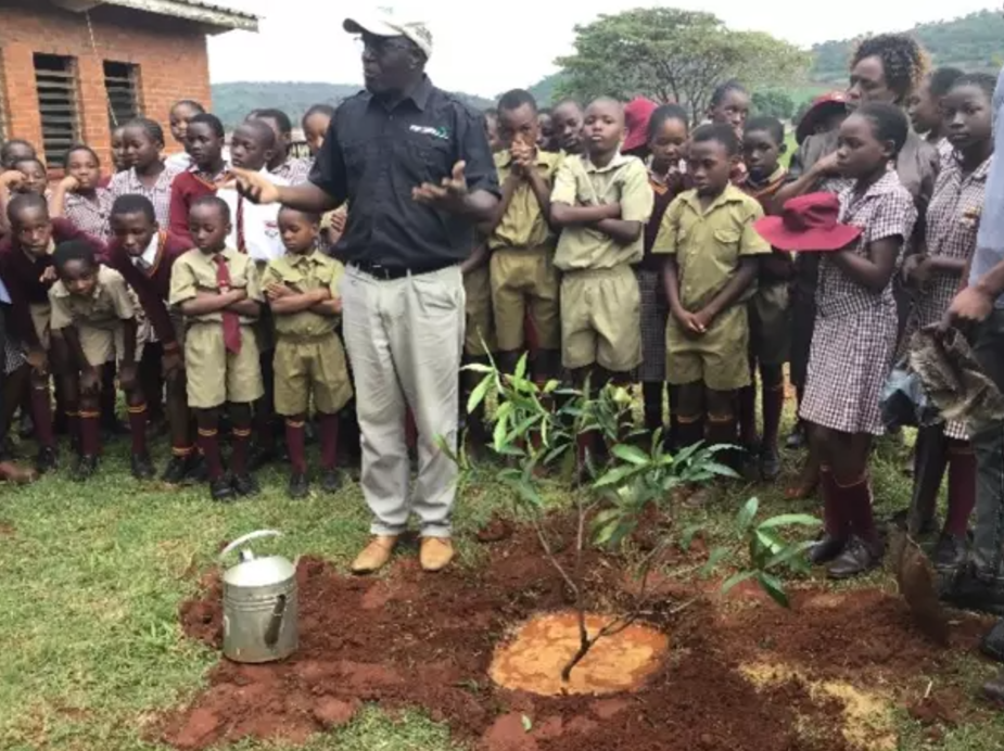 © SCOPE Zimbabwe Institute of Permaculture
