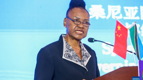 Bernadetta Ndunguru, chairperson of the National Council for Technical and Vocational Education and Training (NACTVET) governing council, speaks at the China-Africa Second TVET Academic Exchange Seminar held in Dar es Salaam, Tanzania, June 3, 2024. (Photo by Emmanuel Herman/Xinhua)