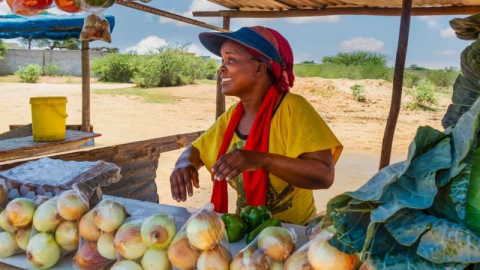 African Development Fund awards grant of over $3.5 million to Zimbabwe to boost youth and female employability