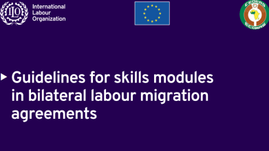 Guidelines for skills modules in bilateral labour migration agreements