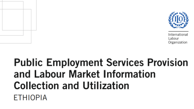 Public Employment Services Provision and Labour Market Information Collection and Utiliization: Ethiopia.f