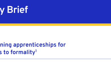 Strengthening apprenticeships for transitions to formality