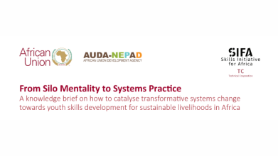 From Silo Mentality to Systems Practice