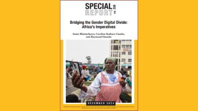 Bridging the Gender Digital Divide: Africa’s Imperatives