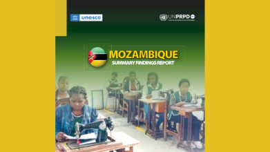 MOZAMBIQUE SUMMARY FINDING REPORT 2024 (CS5)